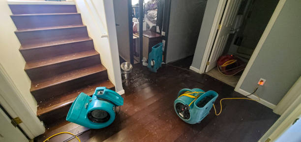 Best Residential water damage restoration  in Big Pine, CA