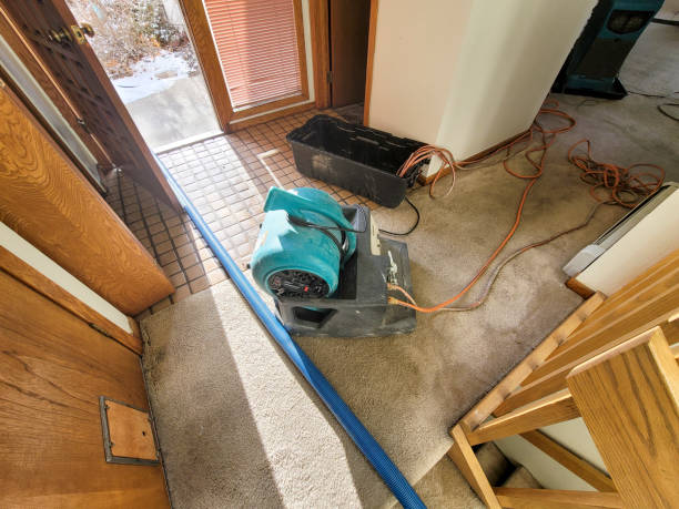 Best Basement water damage restoration  in Big Pine, CA