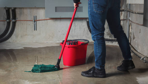 Best Water damage cleanup near me  in Big Pine, CA