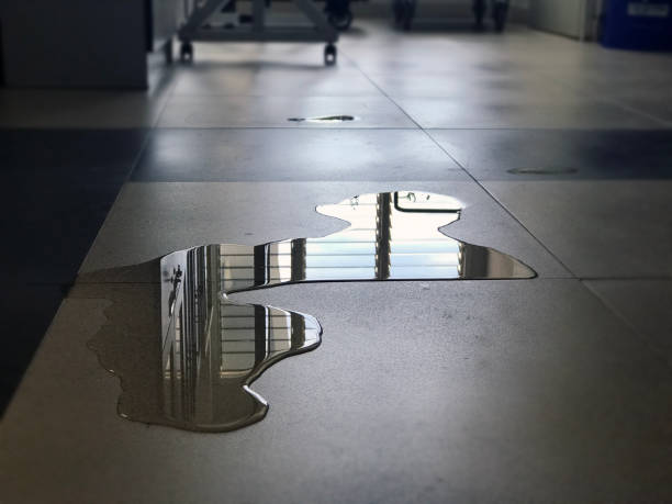 Best Water damage restoration near me  in Big Pine, CA