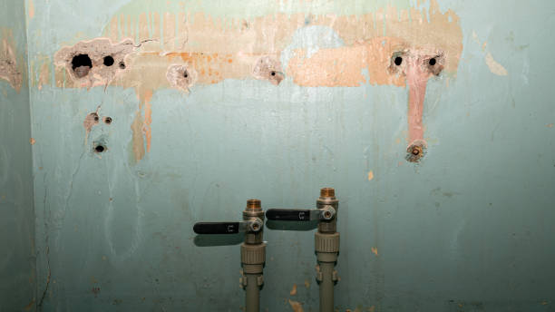 Best Water damage repair service  in Big Pine, CA