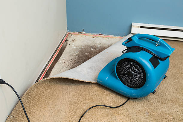 Best Water damage restoration near me  in Big Pine, CA